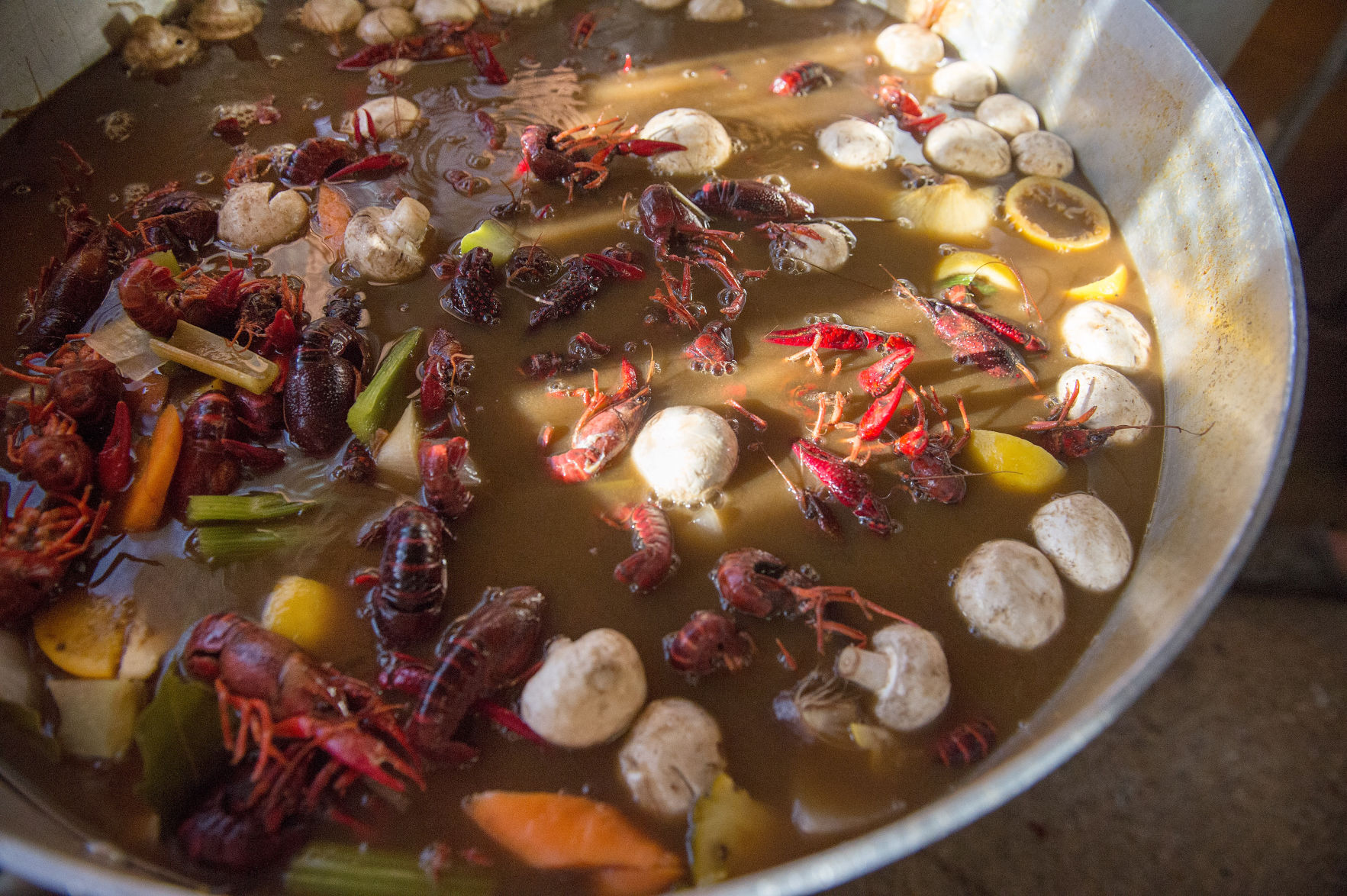 NO.crawfish.epl.041217.078.JPG